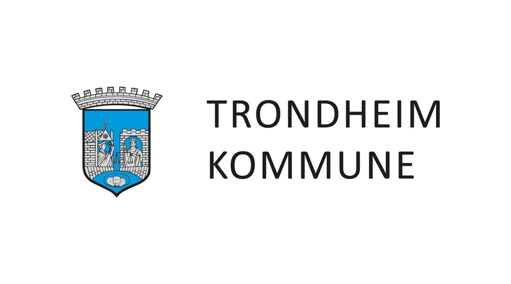 Tilskudd / støtte til infrastruktur til ladeanlegg - Trondheim kommune - Elbilgrossisten